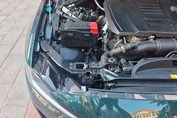 Used Jaguar XEL 2025 2.0T 250 PS R-DYNAMIC 90th Anniversary Edition Engine Bay Right