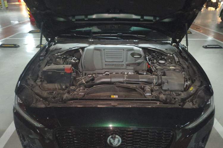 Used Jaguar XEL 2025 2.0T 250 PS R-DYNAMIC 90th Anniversary Edition Engine Bay