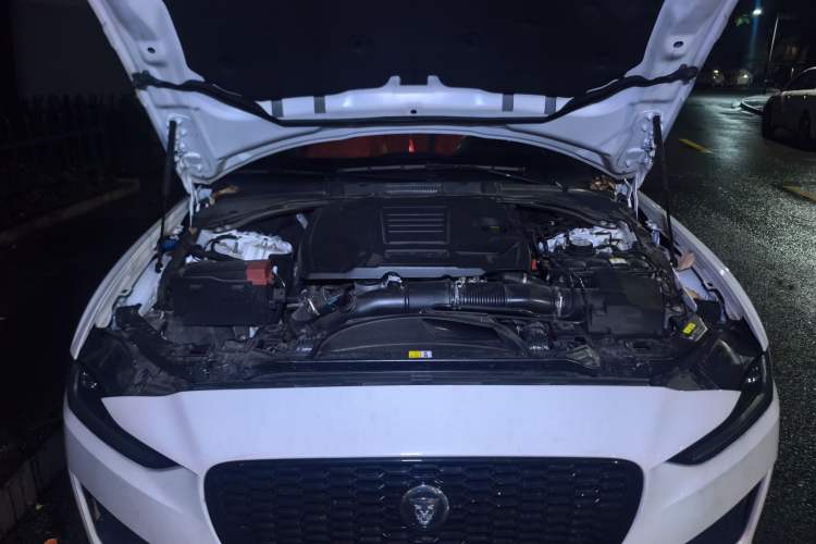 Used Jaguar XEL 2025 2.0T 250 PS R-DYNAMIC 90th Anniversary Edition Engine Bay