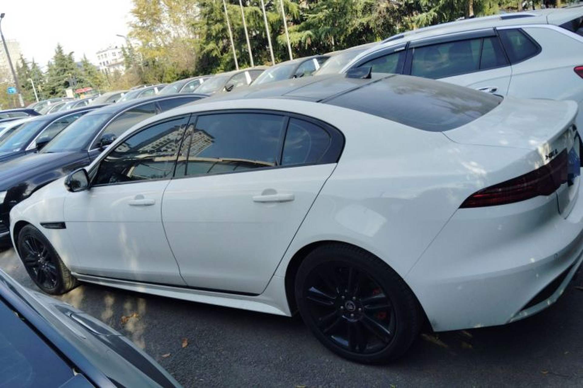 Used Jaguar XEL 2025 2.0T 250 PS R-DYNAMIC 90th Anniversary Edition Left Side