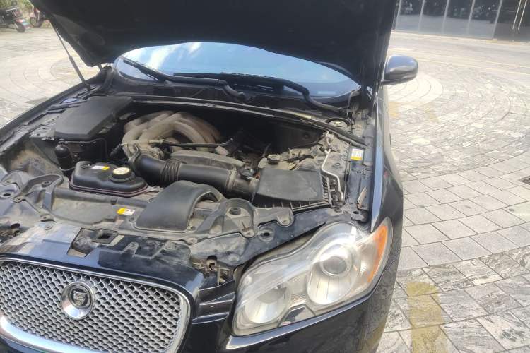 Used Jaguar XF 2009 XF 3.0L V6 Luxury Edition Engine Bay Left