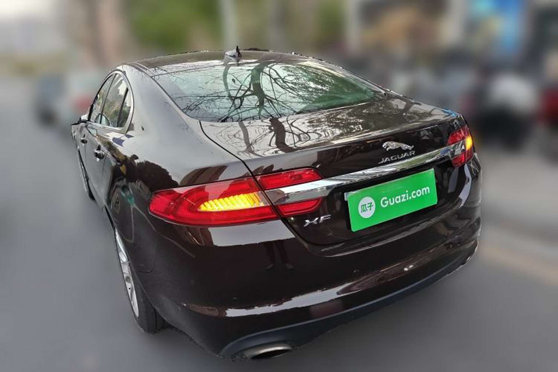 Used Jaguar XF 2013 XF 2.0T Cambridge Limited Edition Rear Left 45 Deg