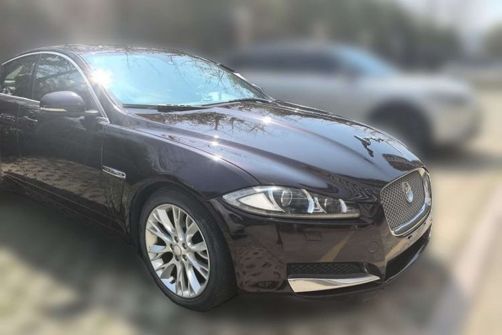 Used Jaguar XF 2014 XF 2.0T Luxury Edition Front Right 45 Deg