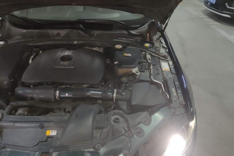 Used Jaguar XF 2014 XF 2.0T Luxury Edition Engine Bay Left