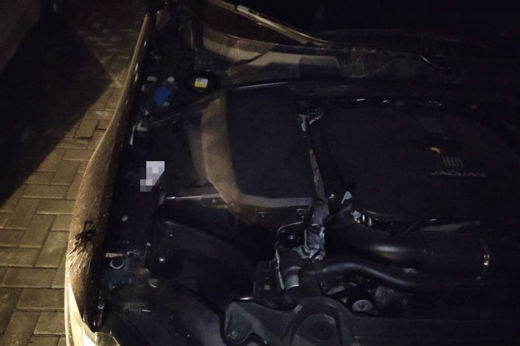 Used Jaguar XF 2014 XF 2.0T Prestige Edition Engine Bay Right