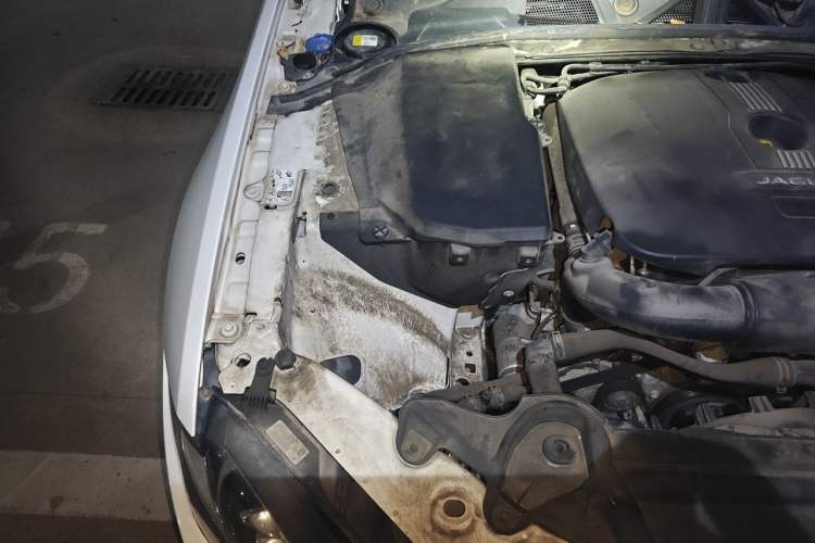 Used Jaguar XF 2014 XF 2.0T Prestige Edition Engine Bay Right