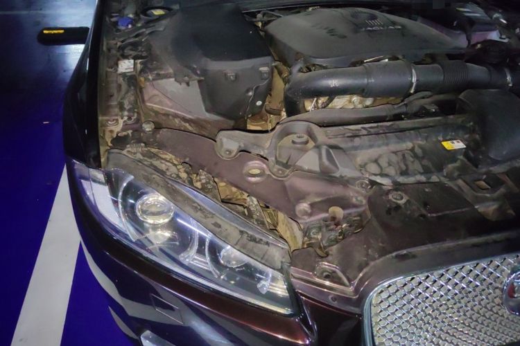 Used Jaguar XF 2015 XF 2.0T Luxury Edition Engine Bay Right