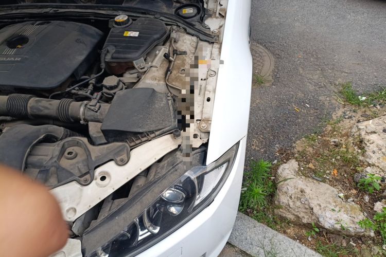 Used Jaguar XF 2015 XF 2.0T Luxury Edition Engine Bay Left