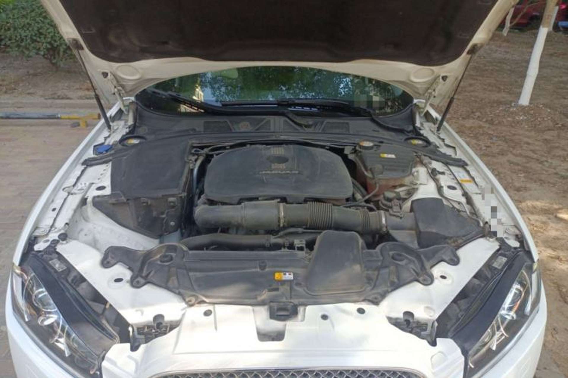 Used Jaguar XF 2015 XF 2.0T 80th Anniversary Collector's Edition Engine Bay