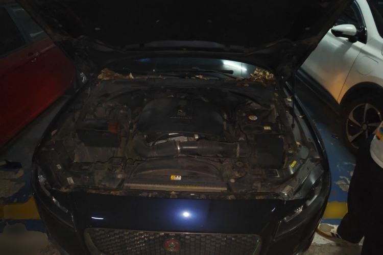 Used Jaguar XF 2016 XF 2.0T Two-Wheel-Drive Luxury Edition Engine Bay
