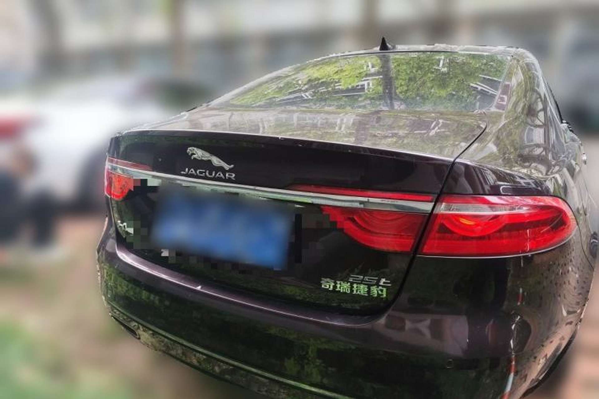 Used Jaguar XFL 2018 XFL 2.0T 250 PS Luxury Edition Rear