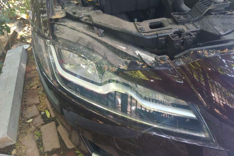 Used Jaguar XFL 2018 XFL 2.0T 250 PS Luxury Edition Right Front Headlight