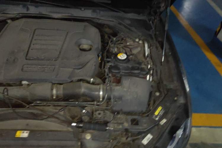 Used Jaguar XFL 2019 XFL 2.0T 200 PS Two-Wheel-Drive Elite Edition Engine Bay Left