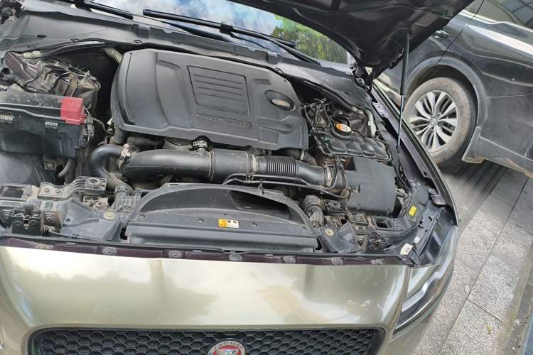 Used Jaguar XFL 2019 XFL 2.0T 250 PS Two-Wheel-Drive Luxury Edition Engine Bay Left