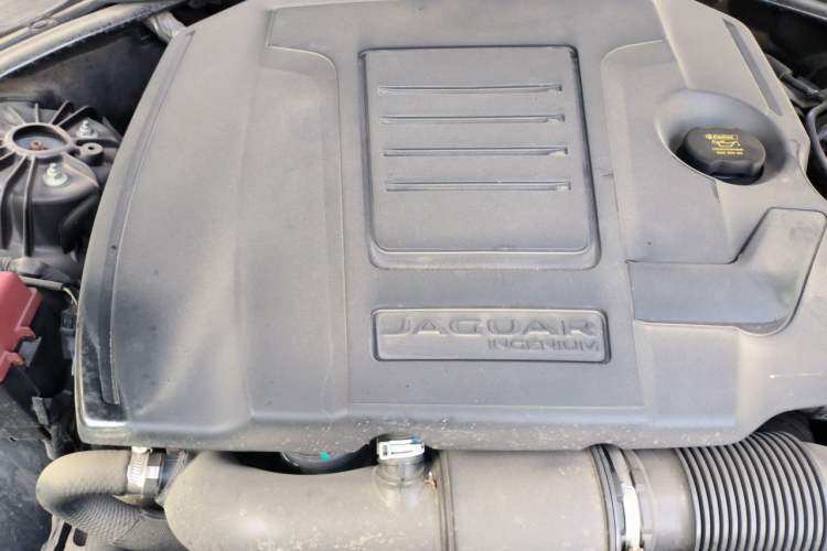 Used Jaguar XFL 2019 XFL 2.0T 250 PS Two-Wheel-Drive Luxury Edition Engine Bay