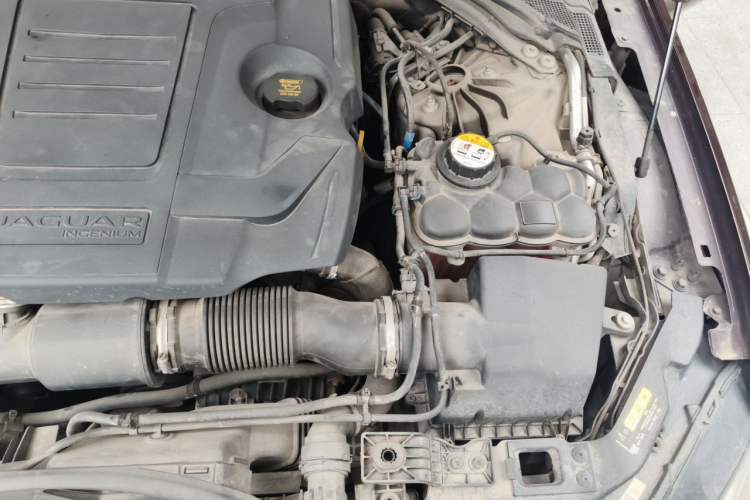 Used Jaguar XFL 2019 XFL 2.0T 250 PS Two-Wheel-Drive Luxury Edition Engine Bay Left