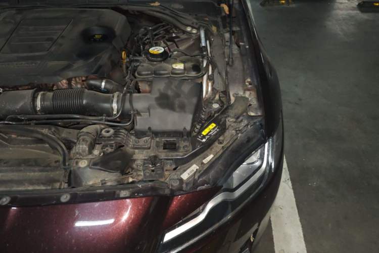 Used Jaguar XFL 2019 XFL 2.0T 250 PS Two-Wheel-Drive Luxury Edition Engine Bay Left