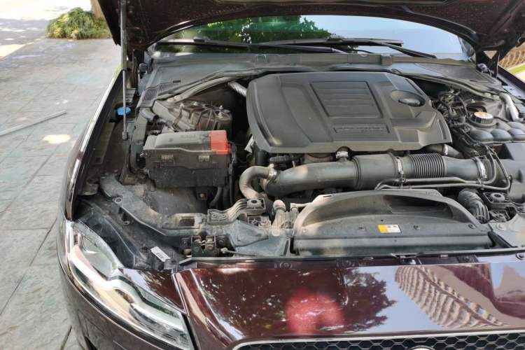 Used Jaguar XFL 2019 XFL 2.0T 250 PS Two-Wheel-Drive Luxury Edition Engine Bay Right