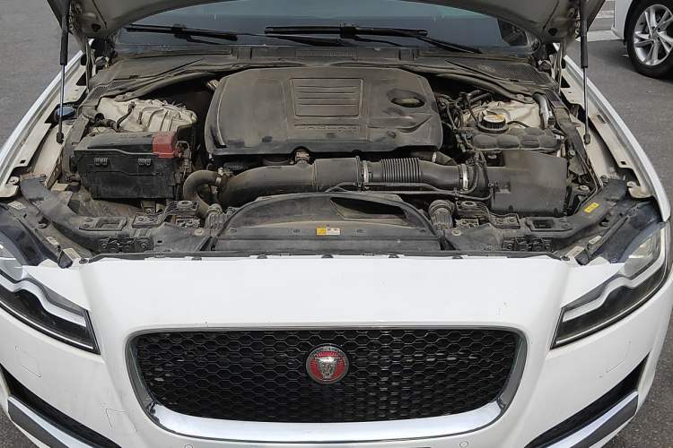Used Jaguar XFL 2019 XFL 2.0T 250 PS Two-Wheel-Drive Luxury Edition Engine Bay