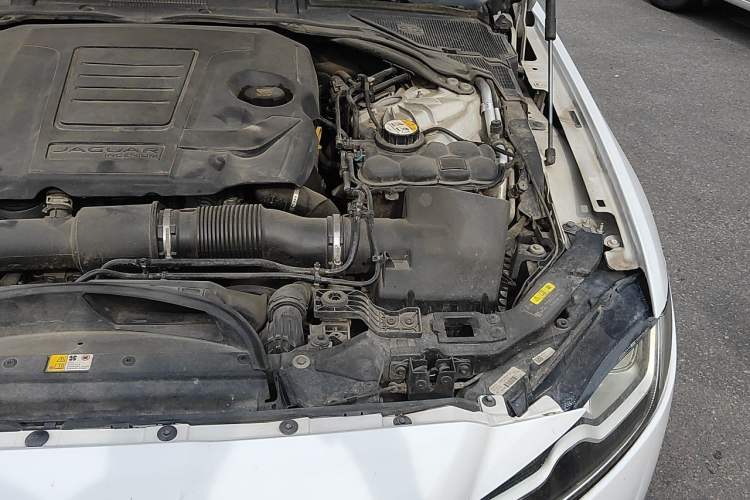 Used Jaguar XFL 2019 XFL 2.0T 250 PS Two-Wheel-Drive Luxury Edition Engine Bay Left