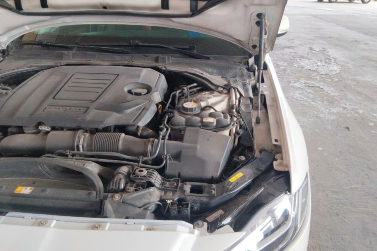 Used Jaguar XFL 2019 XFL 2.0T 250 PS Two-Wheel-Drive Luxury Edition Engine Bay Left