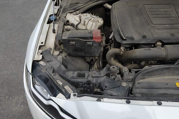 Used Jaguar XFL 2019 XFL 2.0T 250 PS Two-Wheel-Drive Luxury Edition Engine Bay Right