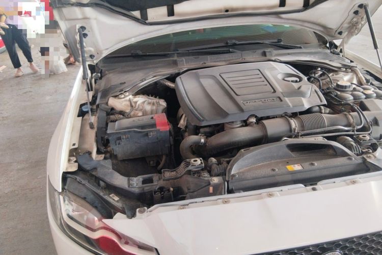Used Jaguar XFL 2019 XFL 2.0T 250 PS Two-Wheel-Drive Luxury Edition Engine Bay Right