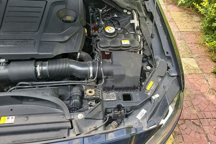 Used Jaguar XFL 2020 XFL 2.0T P200 Two-Wheel-Drive Windflower Edition Engine Bay Left