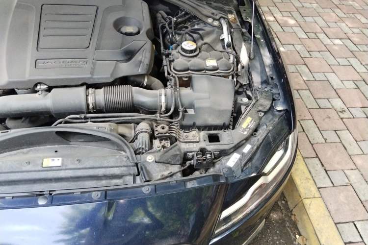 Used Jaguar XFL 2020 XFL 2.0T P250 Two-Wheel-Drive Luxury Edition Engine Bay Left