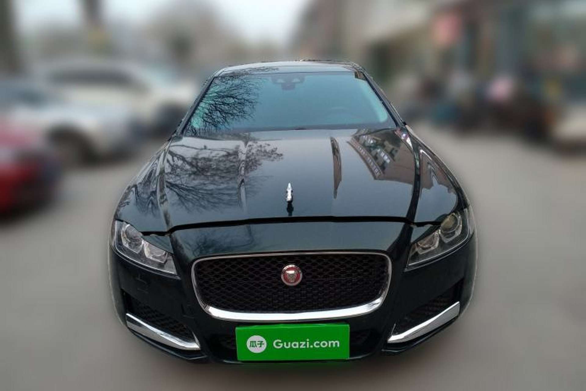 Used Jaguar XFL 2020 XFL 2.0T P200 Two-Wheel-Drive Elite Edition Front