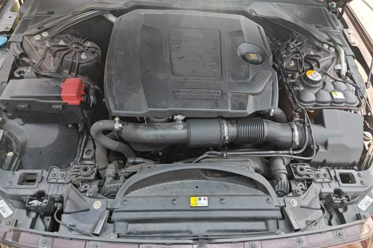 Used Jaguar XFL 2020 XFL 2.0T P200 Two-Wheel-Drive Elite Edition Engine Bay