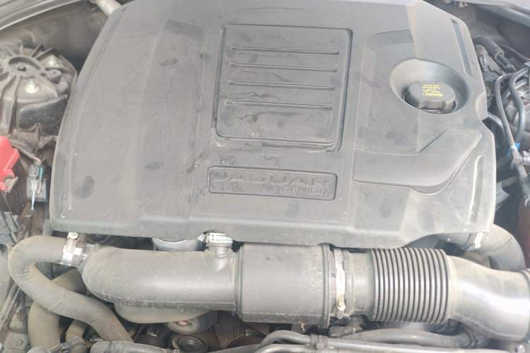 Used Jaguar XFL 2020 XFL 2.0T P200 Two-Wheel-Drive Elite Edition Engine Bay
