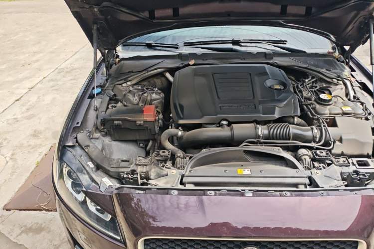 Used Jaguar XFL 2020 XFL 2.0T P200 Two-Wheel-Drive Windflower Edition Engine Bay Right