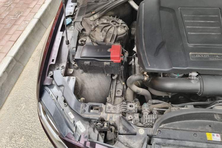 Used Jaguar XFL 2020 XFL 2.0T P250 Two-Wheel-Drive Luxury Edition Engine Bay Right