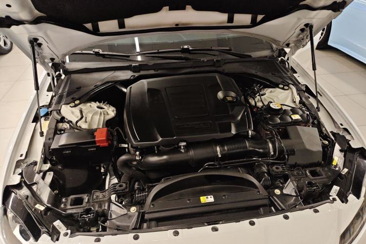 Used Jaguar XFL 2020 XFL 2.0T P200 Two-Wheel-Drive Elite Edition Engine Bay