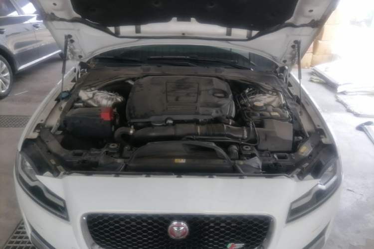 Used Jaguar XFL 2020 XFL 2.0T P250 Two-Wheel-Drive Luxury Edition Engine Bay