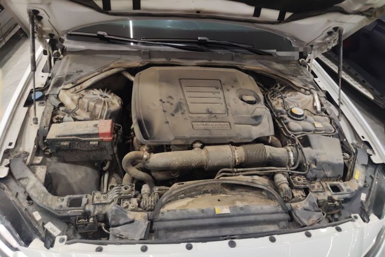 Used Jaguar XFL 2020 XFL 2.0T P250 Four-Wheel Drive Luxury Edition Engine Bay