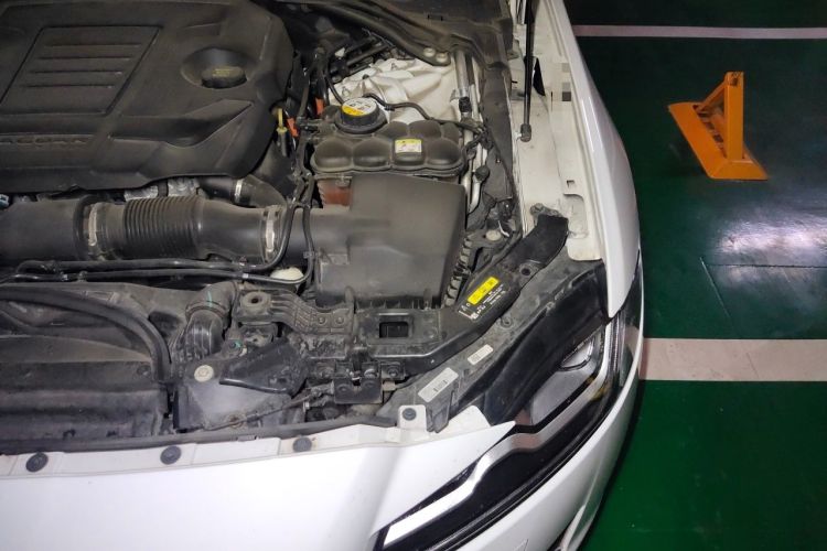 Used Jaguar XFL 2020 XFL 2.0T P250 Two-Wheel-Drive Luxury Edition Engine Bay Left