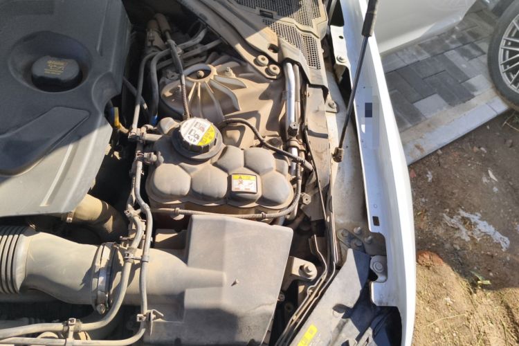 Used Jaguar XFL 2020 XFL 2.0T P200 Two-Wheel-Drive Windflower Edition Engine Bay Left