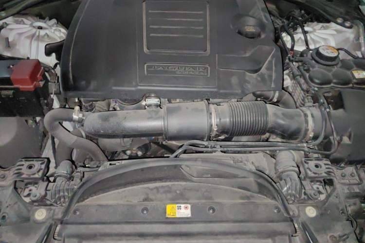 Used Jaguar XFL 2020 XFL 2.0T P200 Two-Wheel-Drive Windflower Edition Engine Bay