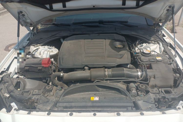 Used Jaguar XFL 2020 XFL 2.0T P200 Two-Wheel-Drive Windflower Edition Engine Bay