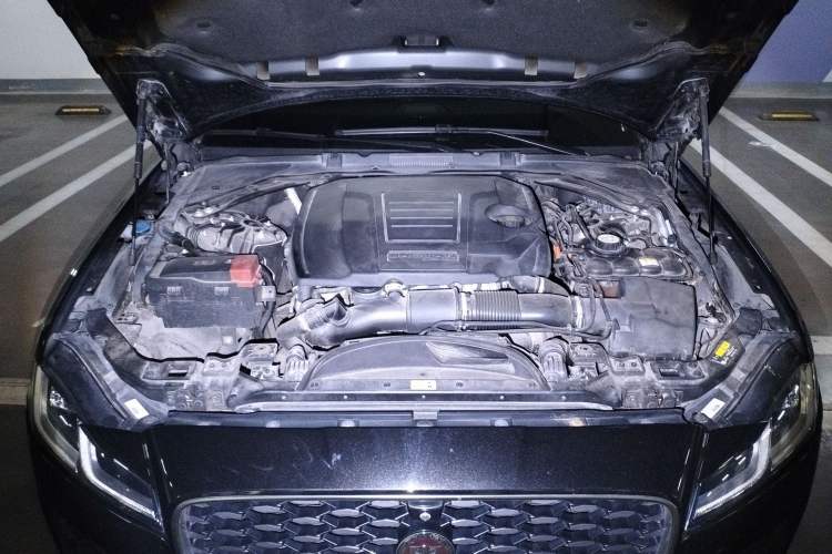 Used Jaguar XFL 2021 XFL 2.0T P250 Two-Wheel-Drive Elite Sport Edition Engine Bay