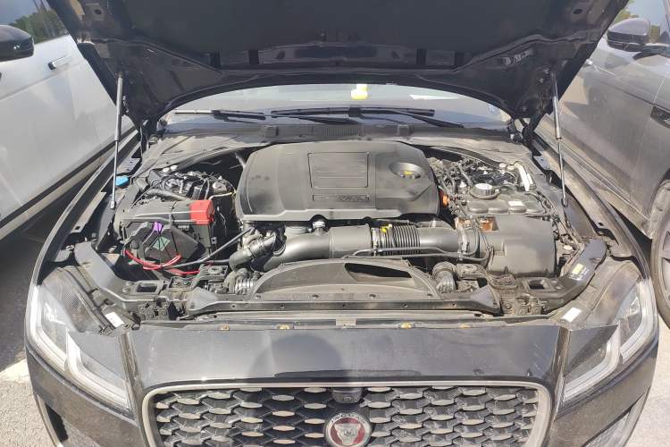 Used Jaguar XFL 2021 XFL 2.0T P200 Two-Wheel-Drive Elite Luxury Edition Engine Bay