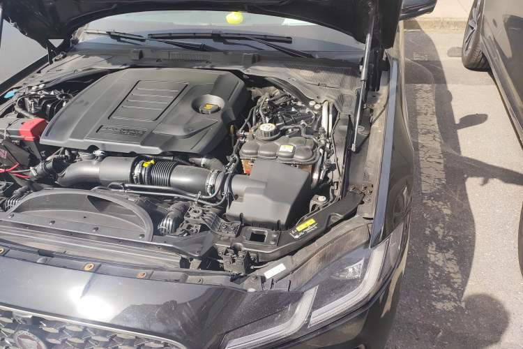 Used Jaguar XFL 2021 XFL 2.0T P200 Two-Wheel-Drive Elite Luxury Edition Engine Bay Left