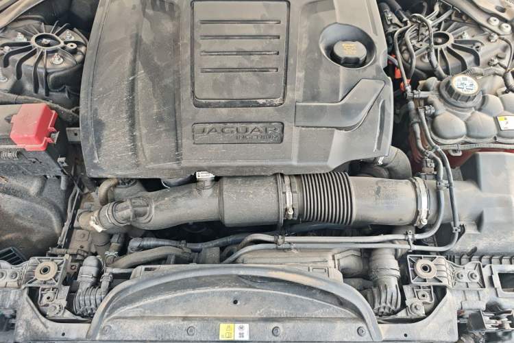 Used Jaguar XFL 2021 XFL 2.0T P250 Two-Wheel-Drive Elite Sport Edition Engine Bay