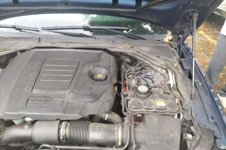 Used Jaguar XFL 2021 XFL 2.0T P250 Two-Wheel-Drive Elite Sport Edition Engine Bay Left