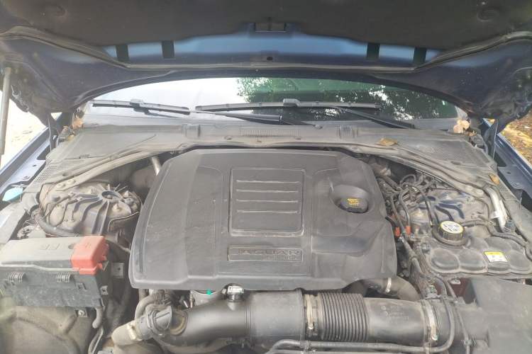 Used Jaguar XFL 2021 XFL 2.0T P250 Two-Wheel-Drive Elite Sport Edition Engine Bay
