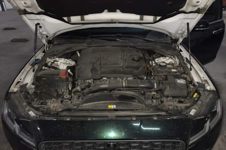 Used Jaguar XFL 2021 XFL 2.0T P250 Two-Wheel-Drive Luxury Deluxe Edition Engine Bay