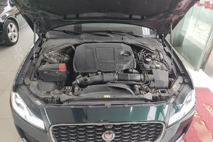 Used Jaguar XFL 2021 XFL 2.0T P250 Two-Wheel-Drive Elite Sport Edition Engine Bay