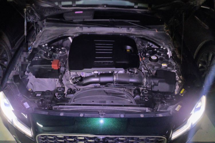Used Jaguar XFL 2021 XFL 2.0T P250 Two-Wheel-Drive Luxury Deluxe Edition Engine Bay